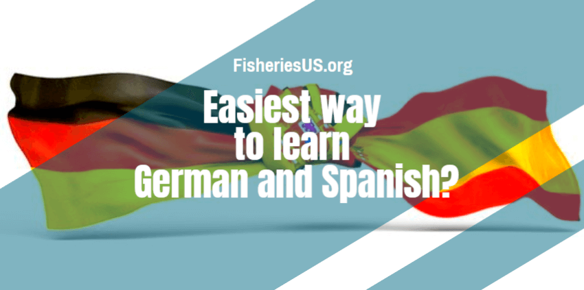 Easiest way to learn German and Spanish?